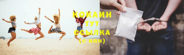 не бодяженный Заводоуковск