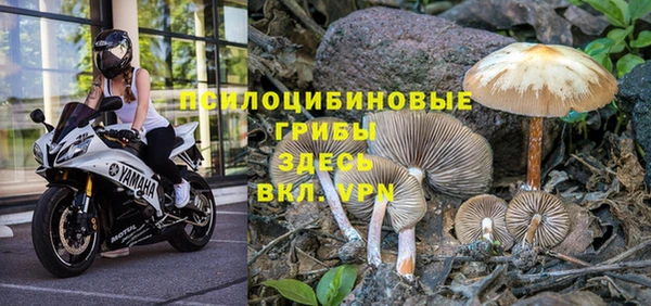 2c-b Заволжье