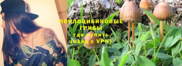 2c-b Заволжье