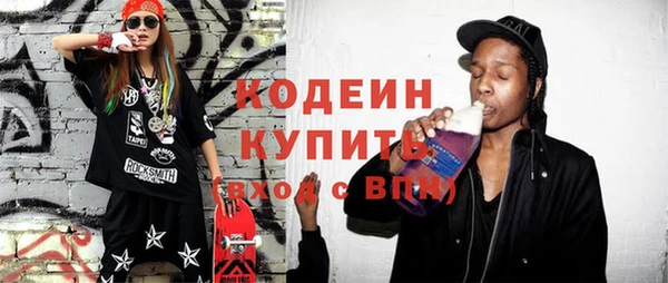 не бодяженный Заводоуковск