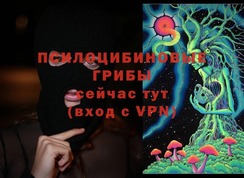 Псилоцибиновые грибы Magic Shrooms Зерноград