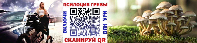 Галлюциногенные грибы GOLDEN TEACHER  Зерноград 