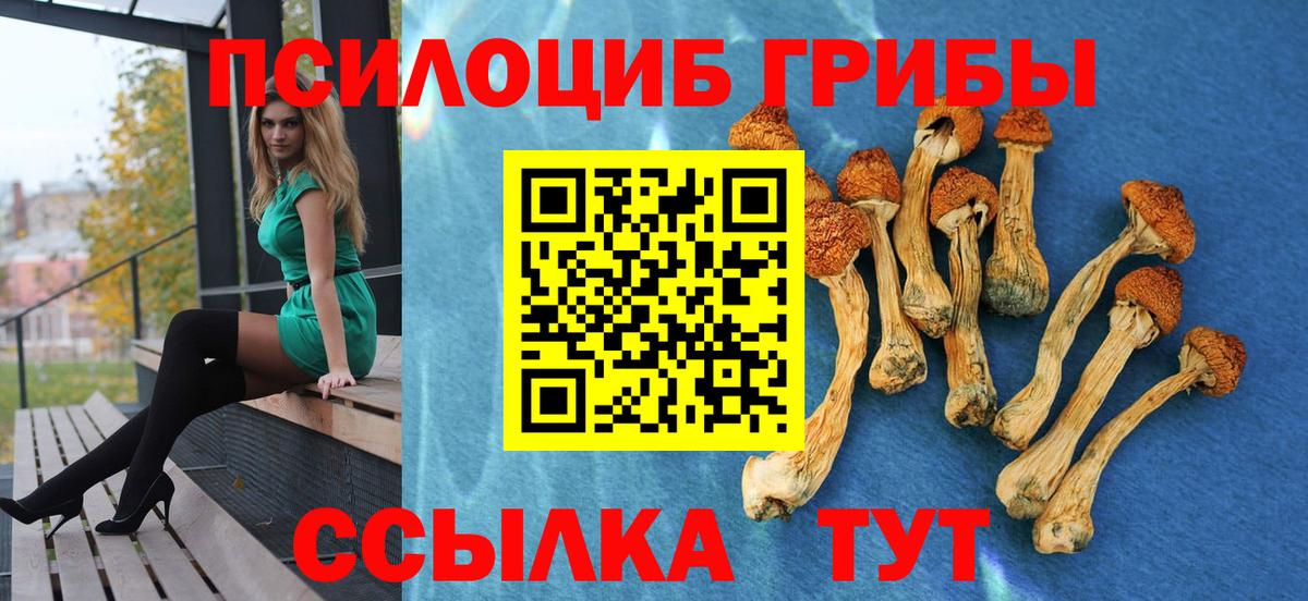 Галлюциногенные грибы MAGIC MUSHROOMS Зерноград